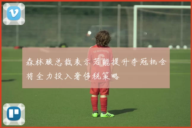 森林狼总裁表示若能提升夺冠机会将全力投入奢侈税策略